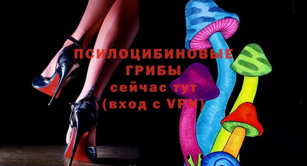 твердый Горняк
