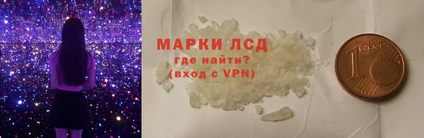 гидра Вязьма
