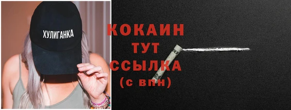 гидра Вязьма
