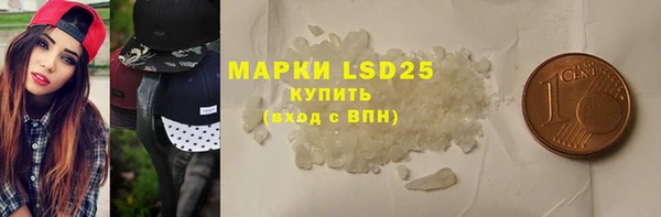 гидра Вязьма