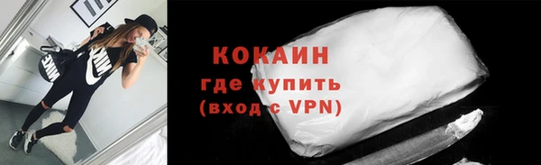 гидра Вязьма