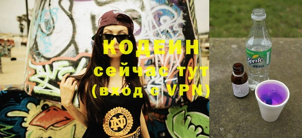 гидра Вязьма