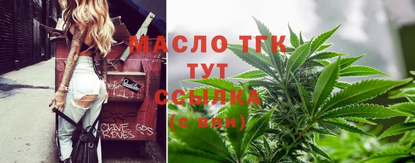 гидра Вязьма