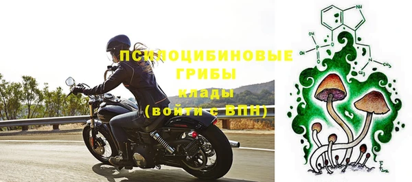 твердый Горняк