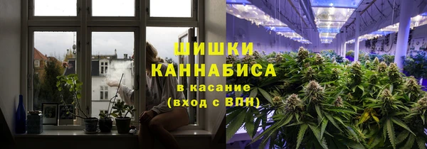 твердый Горняк