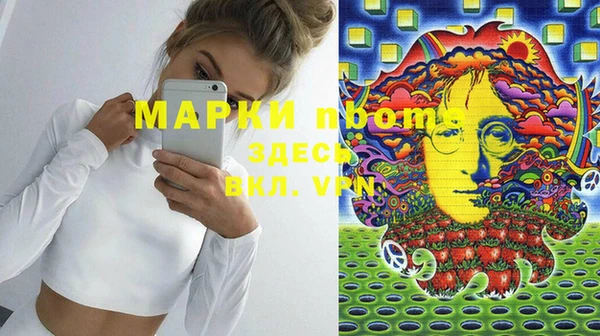твердый Горняк
