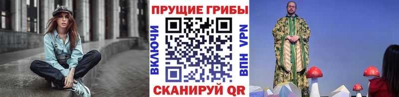 mega как зайти  Мценск  Галлюциногенные грибы мицелий 